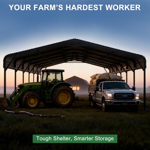 20x30 Heavy Duty Metal Carport