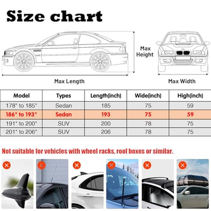 Hail Protector Car Cover