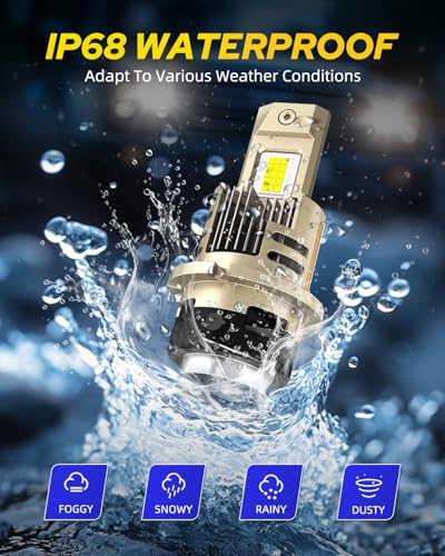 D4S Bulb 60000LM LED Bulb (2 Count)