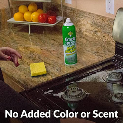 All Purpose Foaming Aerosol Cleaner (40 Ounce)