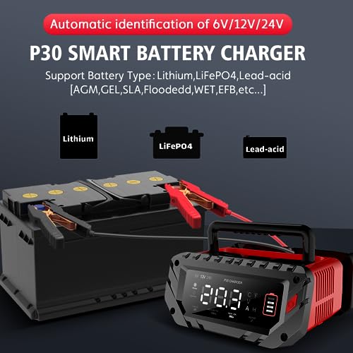 30 Amp Lithium Battery Charger