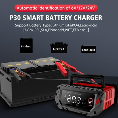 30 Amp Lithium Battery Charger