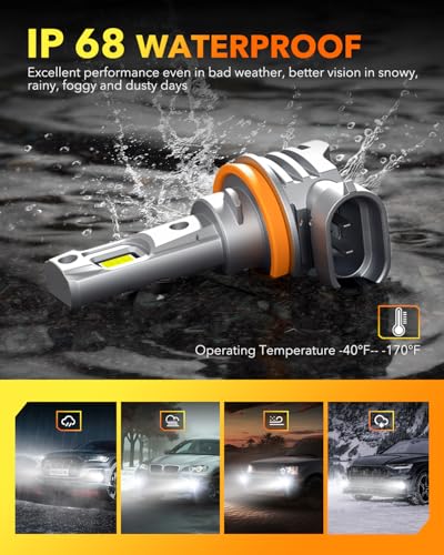 H11 LED Light Bulbs (2 Count)
