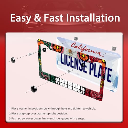 Mexico Flag Skull License Plate Frame Stainless Steel 2
