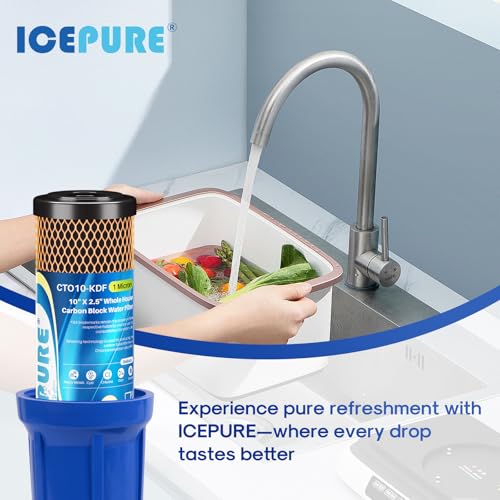 1 Micron 2.5" x 10" Whole House Water Filter Coconut Shell Activated CTO Carbon and KDF Cartridge for Home (2 Count)