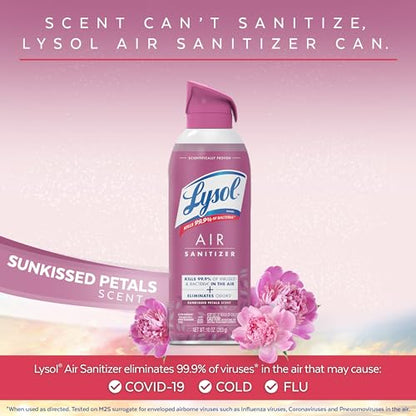 Air Sanitizer Spray (30 Fl Oz)