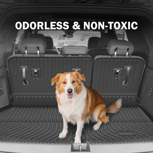 Floor Mats for 2024 (16 Count)