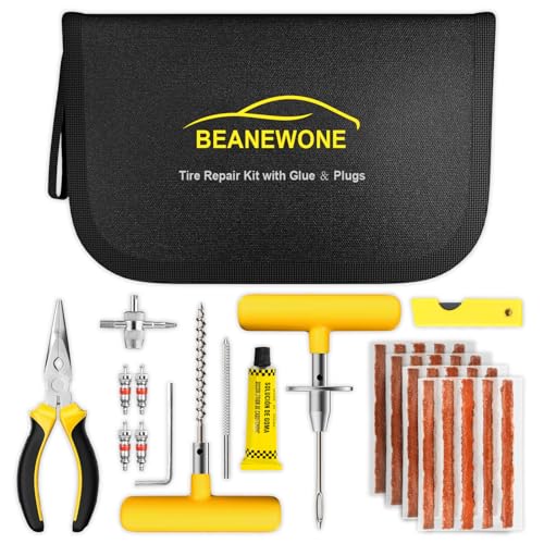 Tire Repair Kit with Plugs