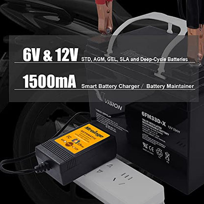 Smart Battery Charger
