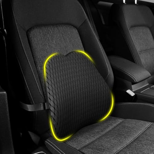 Lumbar Support Pillow for Office Chair
