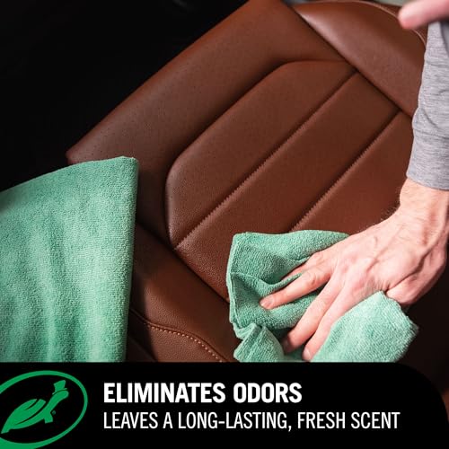 Hybrid Solutions Inside Job Interior Car Cleaner (16 Fl Oz)