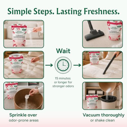 Carpet Deodorizer & Air Freshener Powder (31 Ounce)