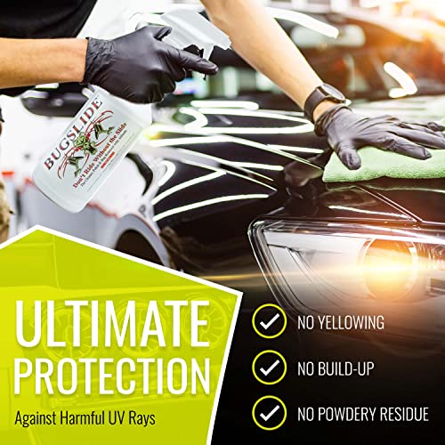 32 Oz Car Detailing Kit with Microfiber Towel (32 Fl Oz)