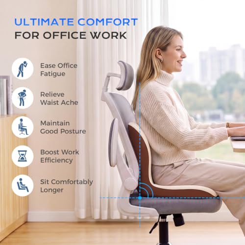Car Seat Cushion and Lumbar Support Pillow One Piece