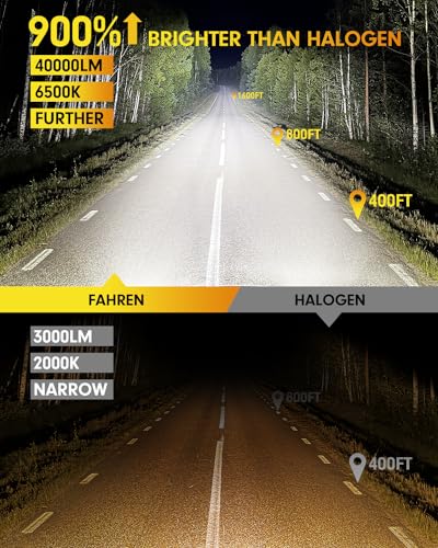 H4 9003 Bulbs