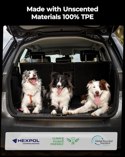 Cargo Liner & Backrest Mats for Kia Carnival Hybrid & Gas 2025