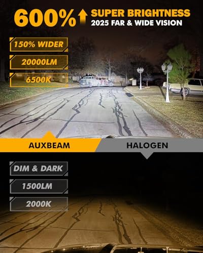 Q25 Series H11 H8 H9 Fog Lights H11 Powersports Lights 20000LM