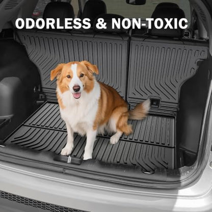 Floor Mats for 2017 (10 Count)
