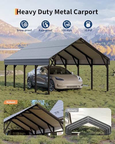 12x20 ft Metal Carport