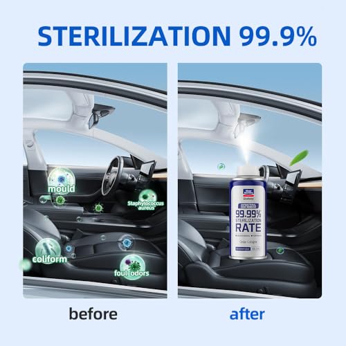 Glodway Whole Car Air Refresher Spray (12 Ounce)