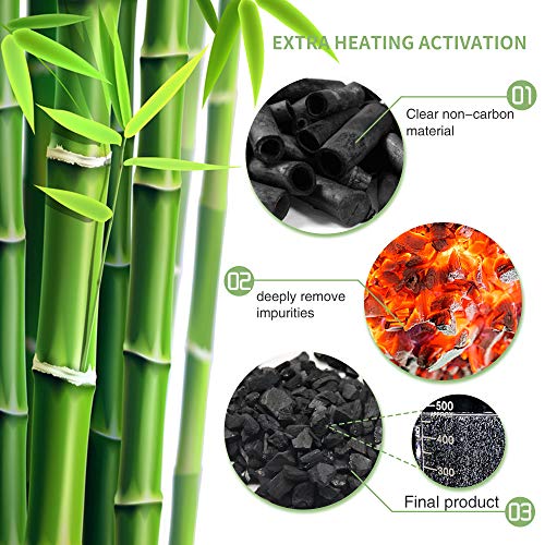 Bamboo Charcoal Air Purifying Bag (28.8 Ounce)
