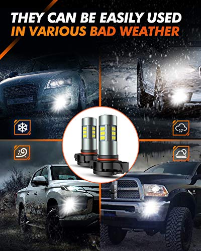 5202 LED Fog Light Bulbs (2 Count)