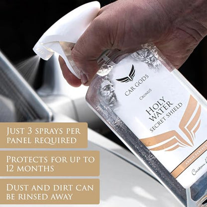 Paint Sealant Holy Water Secret Shield Polish (17 Fl Oz)