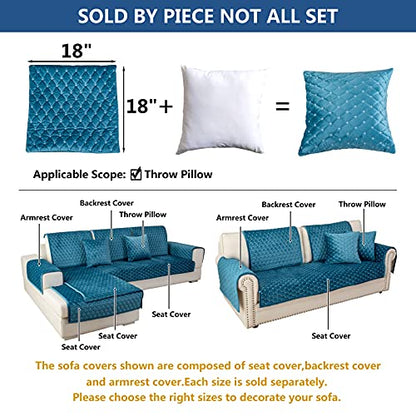 Throw Pillows