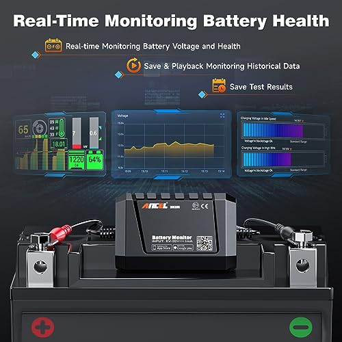 BM300 12V Battery Monitor