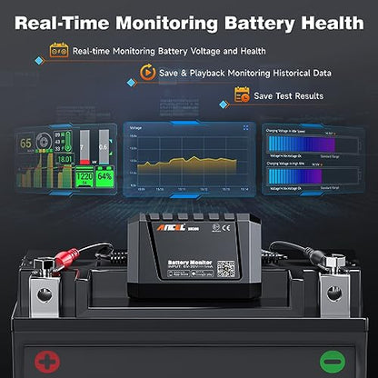 BM300 12V Battery Monitor