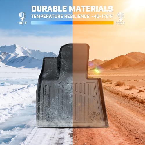 Floor Mat & Cargo Liner for 2020