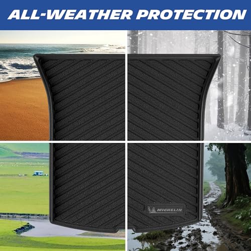 Vehicle Mat for 2025