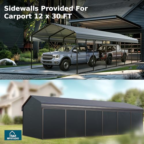 Metal Carport 12x30ft