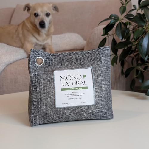 Air Purifying Bag 600g