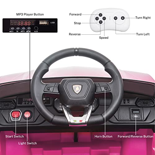 Electric Ride On Car for Kids