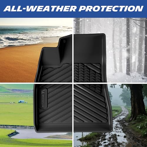 Vehicle Mats for 2024