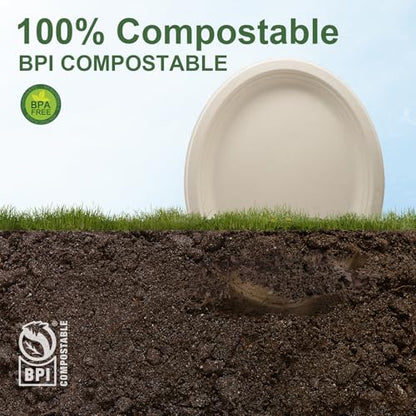 100% Compostable Oval Paper Plates 12 Inch 125 (125 Count)