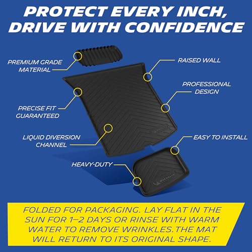 Vehicle Mat for 2025