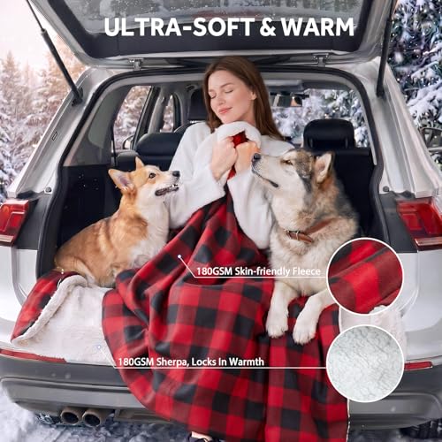 12 Volt Heated Car Blanket