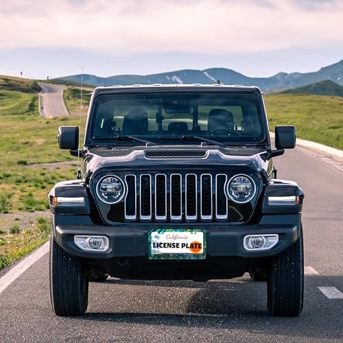 Funny Faux Abalone License Plate Frame Stainless Steel 6.3 X 12.2 Inch