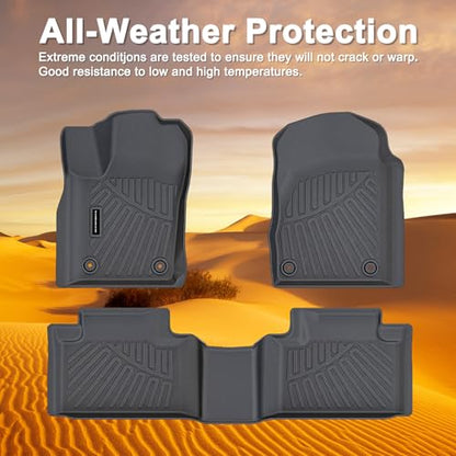 TPE Floor Mats for 2011