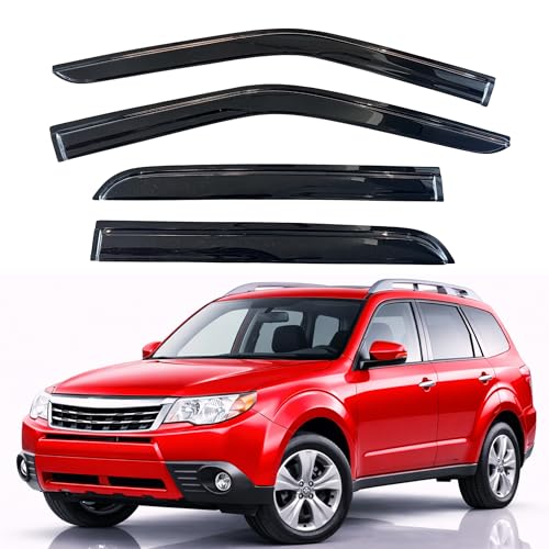 Rain Guards Fit for 2009