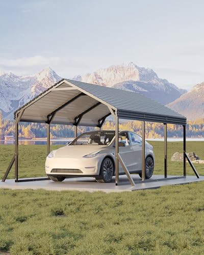 10x15x9 ft Metal Carport