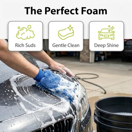 Care Car Shampoo and Soap (16 Fl Oz)