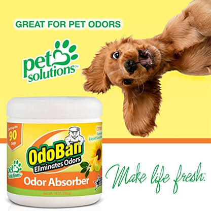 Solid Odor Absorber Eliminator for Home and Small Spaces (42 Ounce)