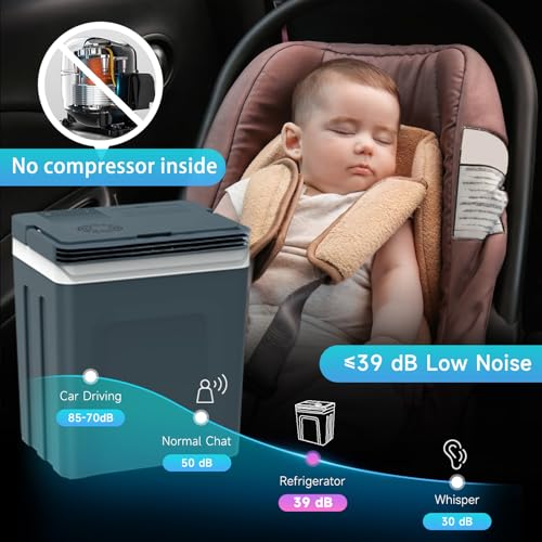 25L Portable Electric Cooler & Warmer
