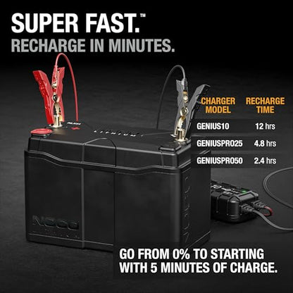 Lithium NLX31 Deep Cycle & Starter Battery