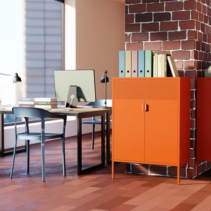 2 Mesh Door Metal Cabinet with Adjustable Shelves