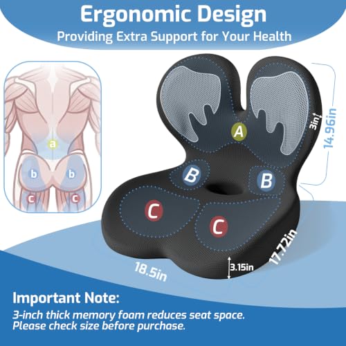 Seat Cushion with Lumbar Support Pillow