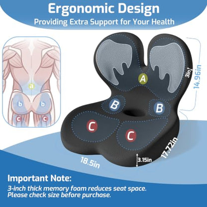 Seat Cushion with Lumbar Support Pillow